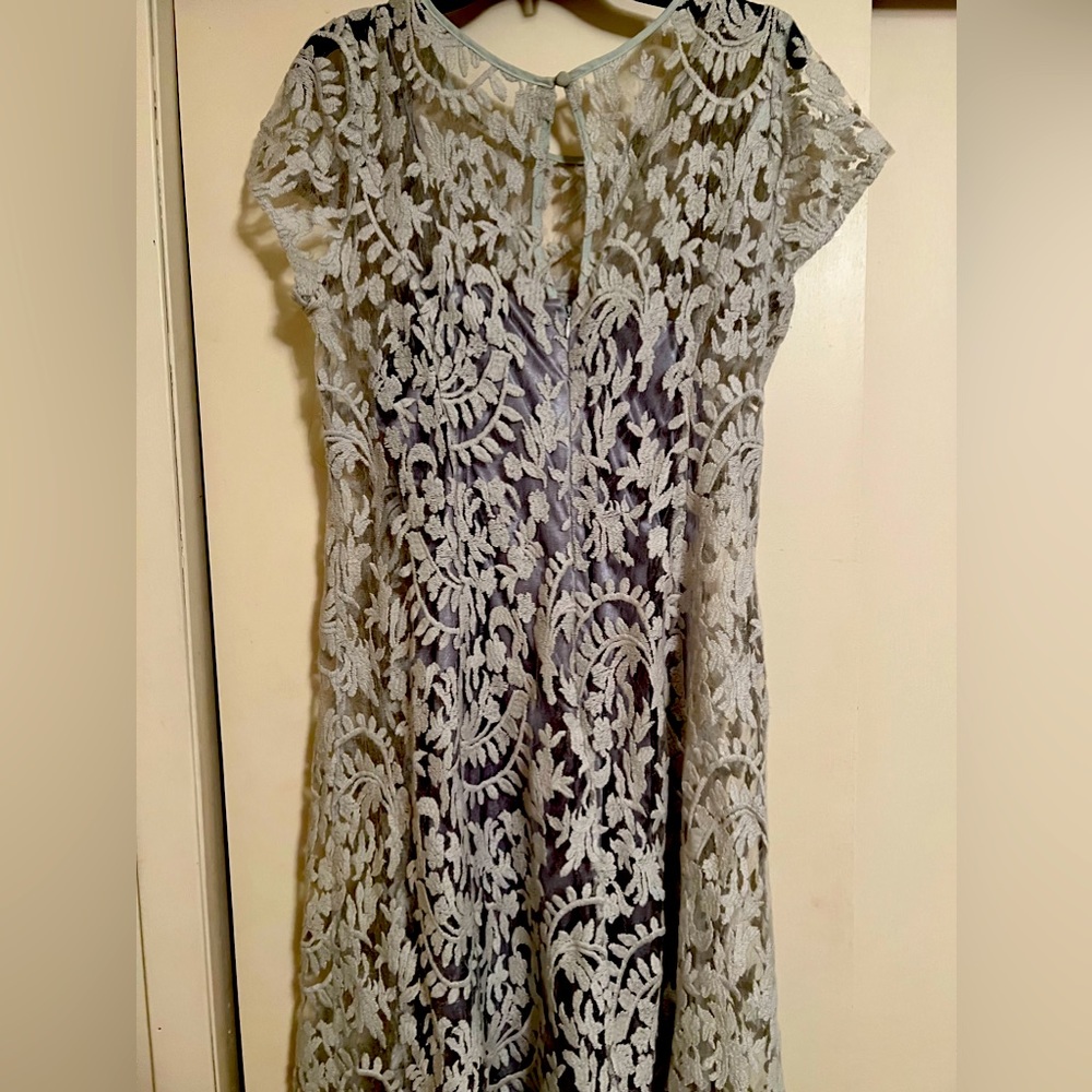 GORGEOUS Name Brand Adrianna Pappel Lace Fown with Silk Slip!